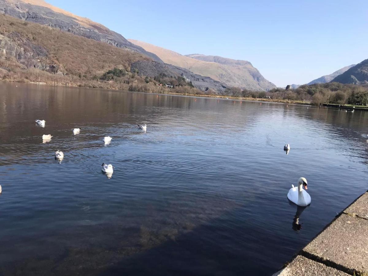 Llanberis Lodges 外观 照片